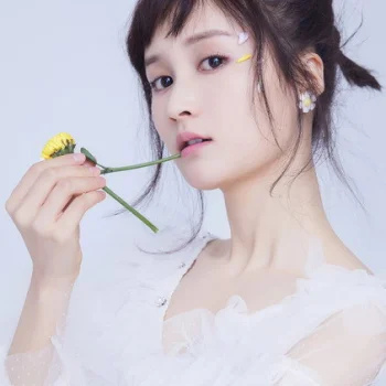Li Nuo