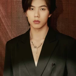 Li Zhekun