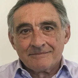 Ahmet İnsel