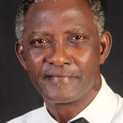 Ayo Lijadu