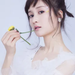 Li Nuo