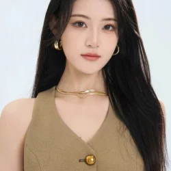 Liu Qi