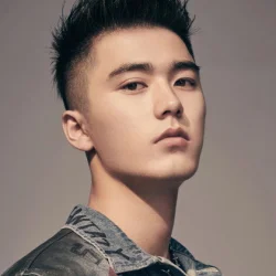 Liu Yichang