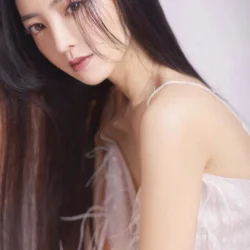 Wang Meixin