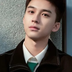 Yang Xinghui