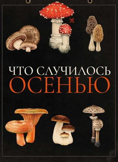 Что случилось осенью