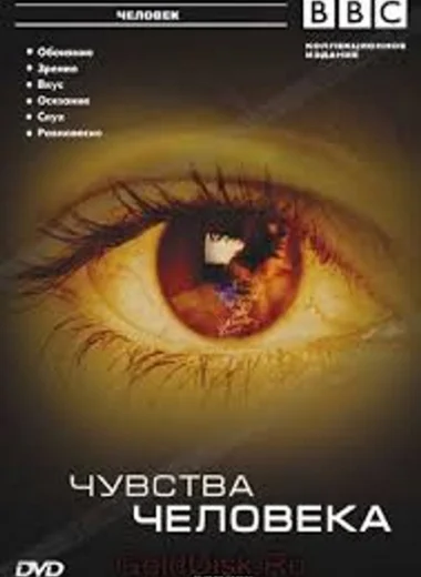 Чувства человека