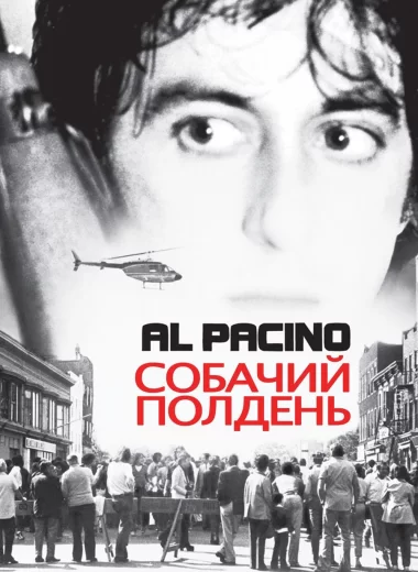 Собачий полдень