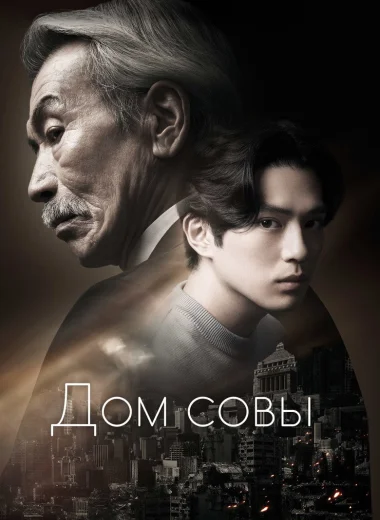 Дом совы