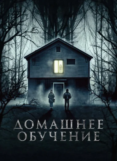Домашнее обучение