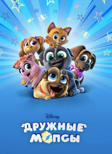 Дружные мопсы