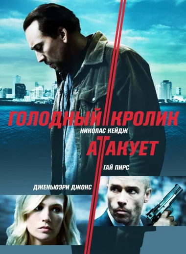 Голодный кролик атакует