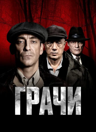 Грачи