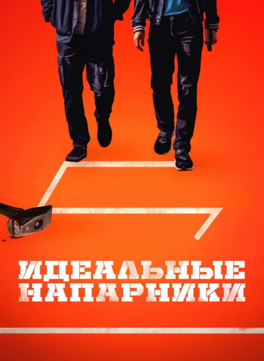 Идеальные напарники