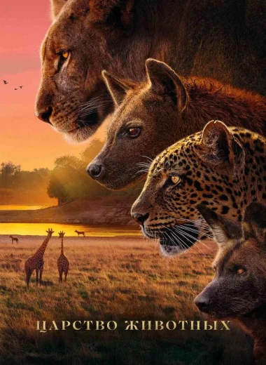 Королевство