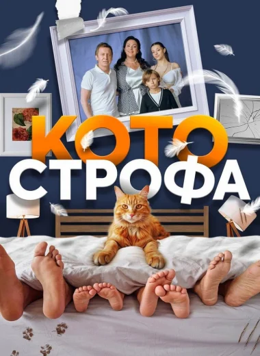 Котострофа