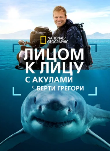 Лицом к лицу с акулами с Берти Грегори