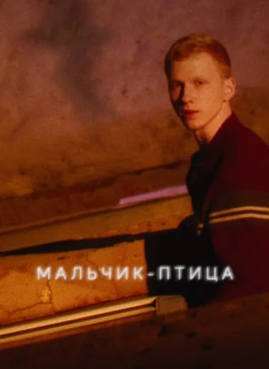 Мальчик-птица