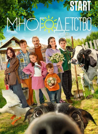 Многодетство