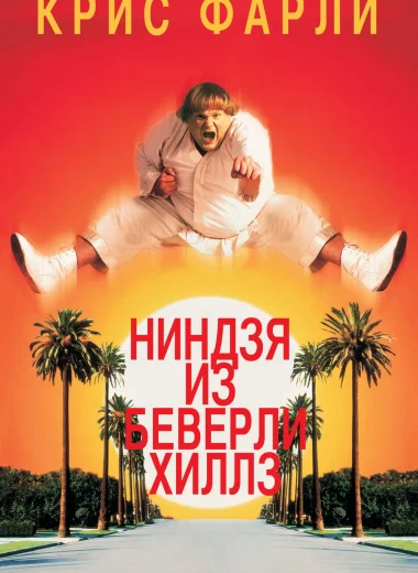 Ниндзя из Беверли Хиллз