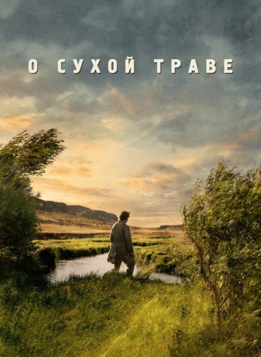 О сухой траве