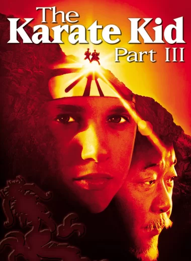 Парень-каратист 3