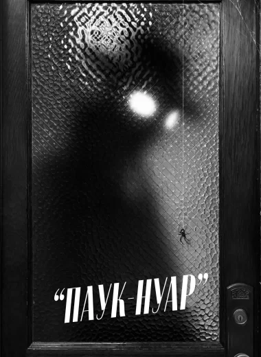 Паук-Нуар