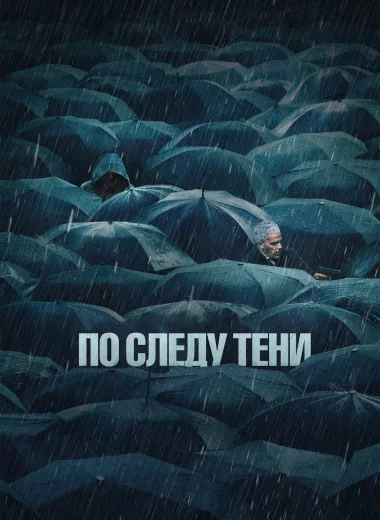 По следу тени