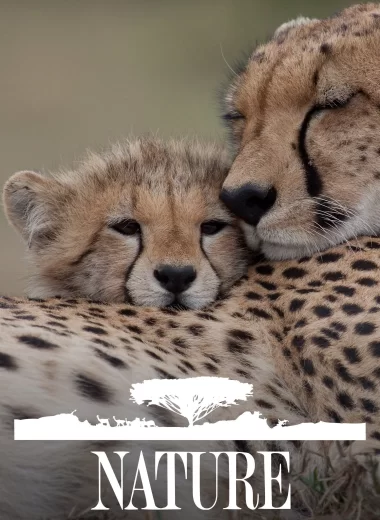 Природа