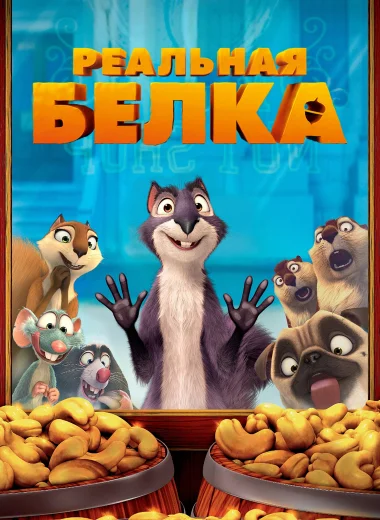 Реальная белка