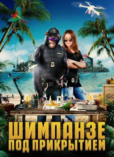 Шимпанзе под прикрытием