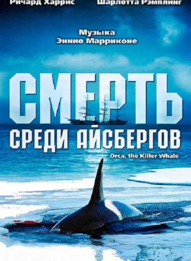 Смерть среди айсбергов