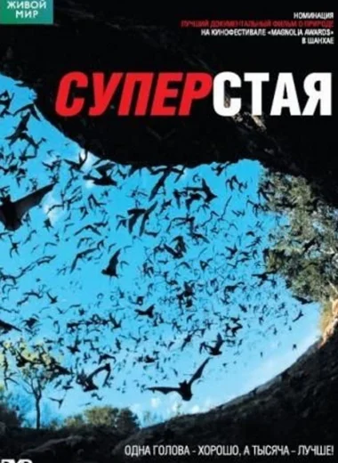 Суперстая