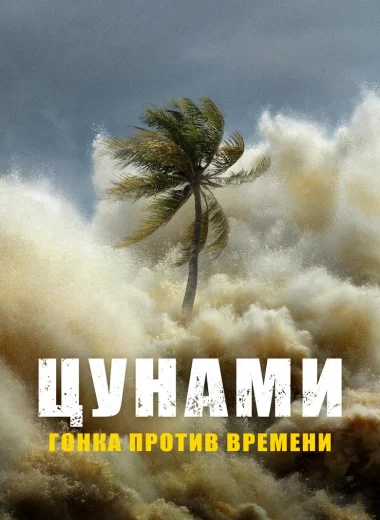 Цунами: наперегонки со временем