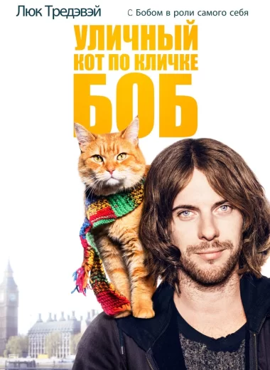 Уличный кот по кличке Боб