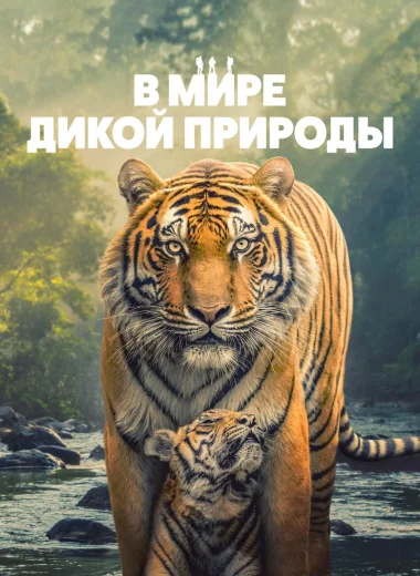 В мире дикой природы