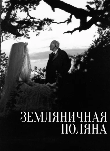 Земляничная поляна