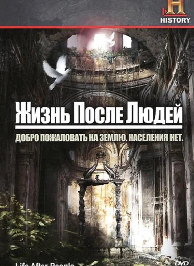 Жизнь после людей