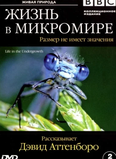 Жизнь в микромире