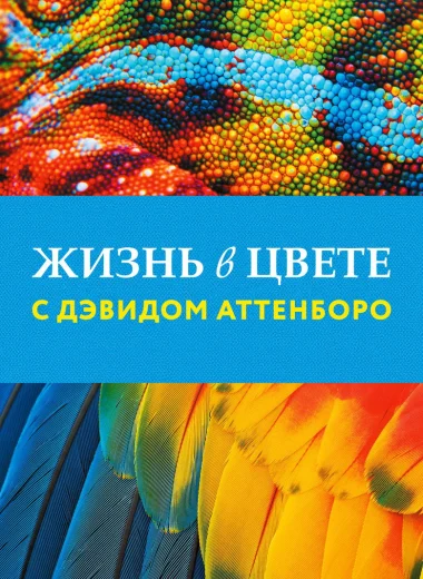 Жизнь в цвете с Дэвидом Аттенборо
