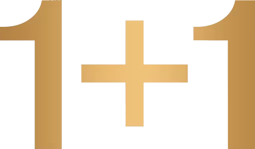 1+1