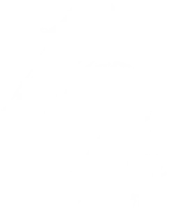 19 этаж
