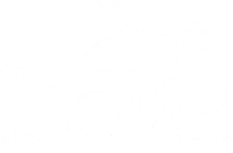 25-й час