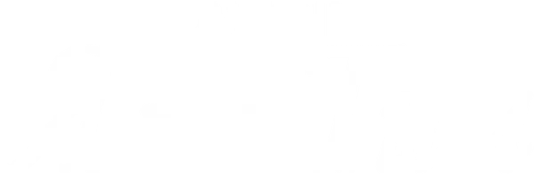 Avicii. Я — Тим
