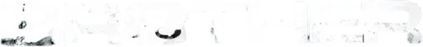 Брат Якудзы