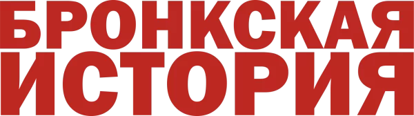 Бронкская история