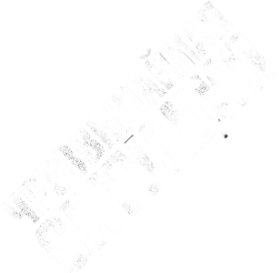 Чрезвычайная ситуация