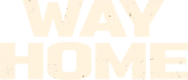 Дорога домой