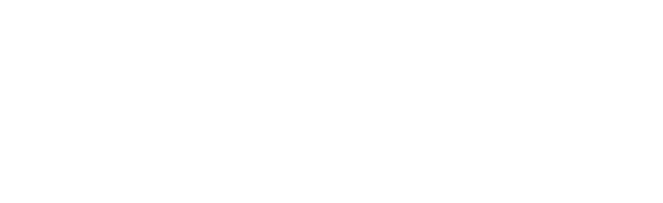 Дублёр