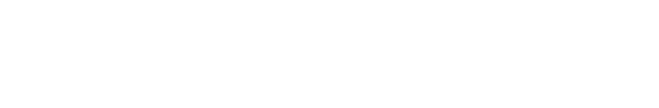 Двойник